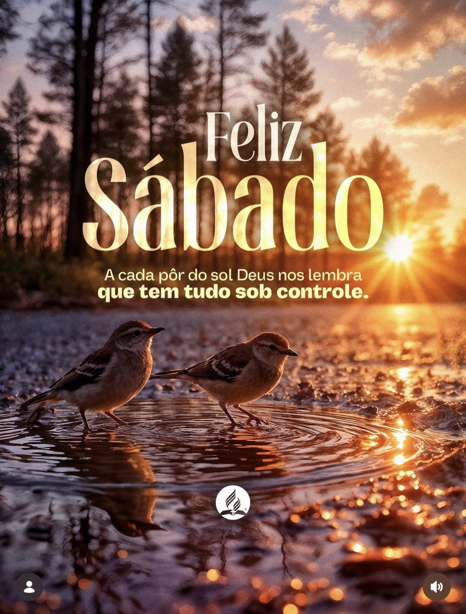 Raimundo Gonçalves tweet media