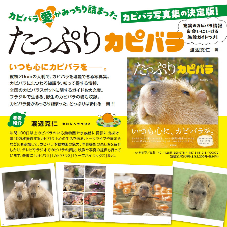 カピバライダー (@4fvirqaIVMSHckU) / Posts / X