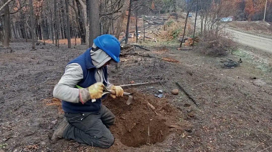 PatAmb's tweet image. 🌱 El Guadal, Río Negro: un modelo ejemplar de manejo del bosque nativo que combina conservación, producción sostenible y desarrollo comunitario.
patagoniambiental.com.ar/info/96141-2/