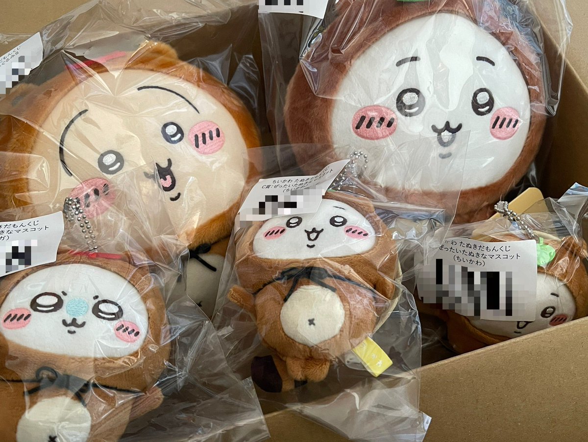 朝からピンポン来て
ちいかわたぬき 届いた🤍