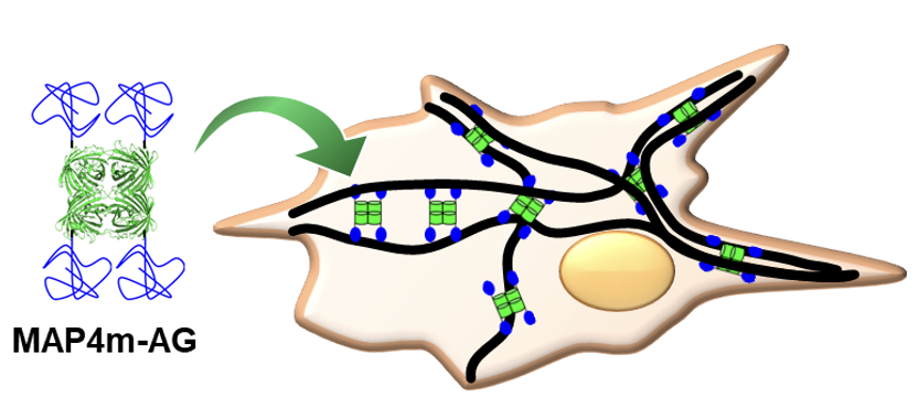 Hiroshi Inaba tweet media