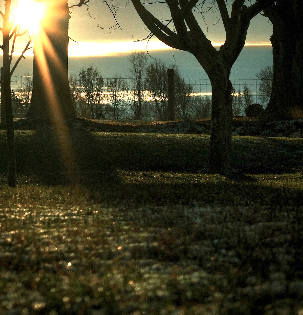 elev8208's tweet image. Trying to capture….ice? 🤔