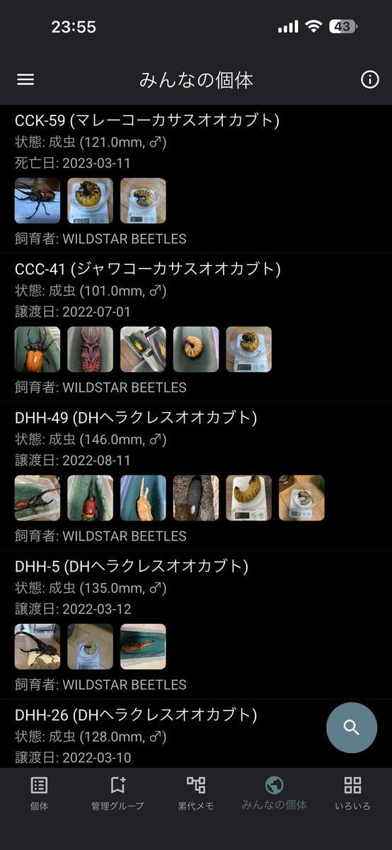 wildstarbeetles's tweet photo. ✨ v1.17.0 アップデートのお知らせ ✨

- 「みんなの個体」機能をリリース！ こだわりの血統を全国のブリーダーにシェアして、新しい交流や発見を楽しみましょう！
- その他細かな不具合修正や改善を行いました

これからも応援よろしくお願いします！
#KKログ #クワカブ #飼育管理アプリ https://t.co/nkmip2aAp6