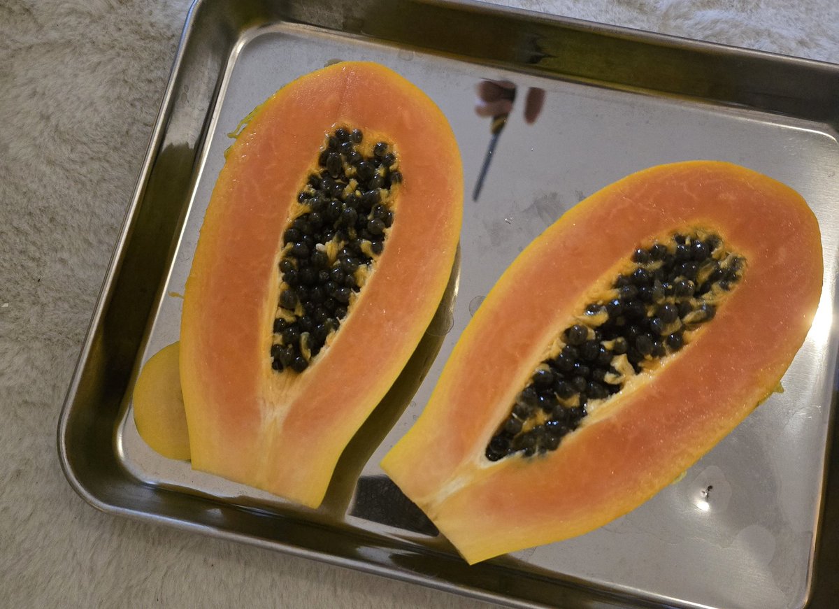 노맛.다들잘보고사시길