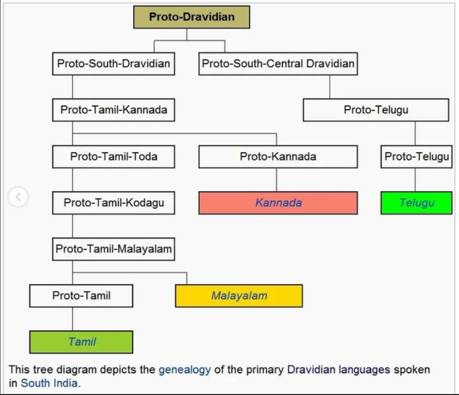 AP_CRDANews's tweet photo. Hello, "Mr Self-Claimed Mother"! How dare you call? Without Tamil there is no Telugu. Telugu didn't come from Tamil they only share a common ancestor

Telugu is a South-Central Dravidian language; it's just a sister language of Tamil. Dravidian is the mother, not your Tamil!

But irony is, you guys feel as if you own the entire Dravidian and insult others.