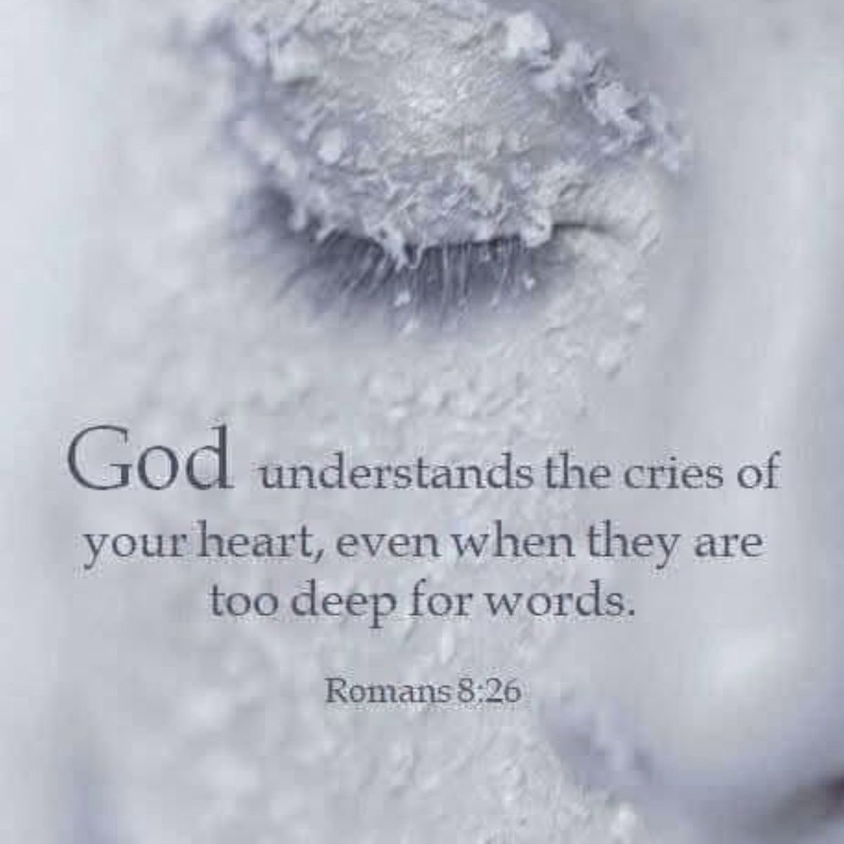 ElsieAnna✝💜☮ tweet media