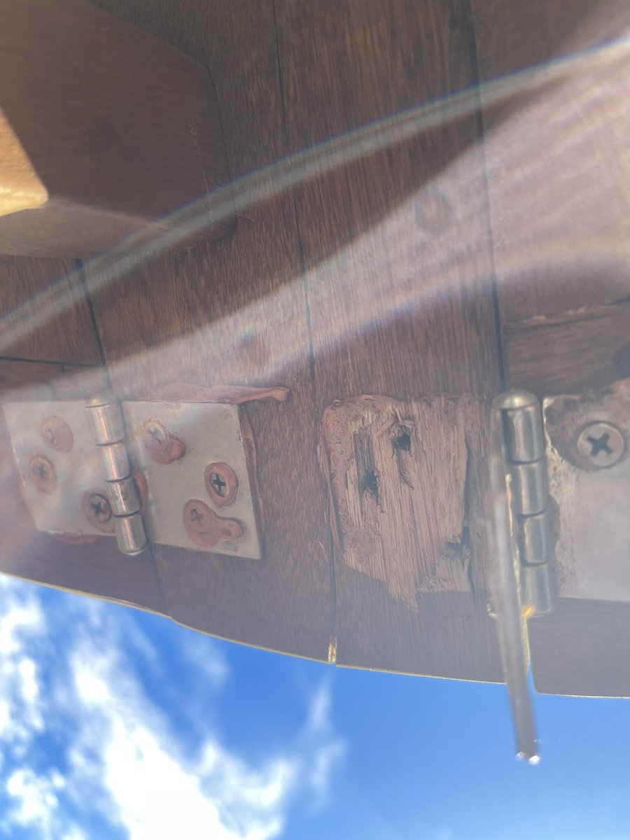 Kasey Clark tweet media