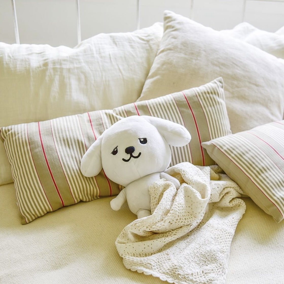 ダスキン ダス犬【公式】 (@dusken_official) / Posts / X