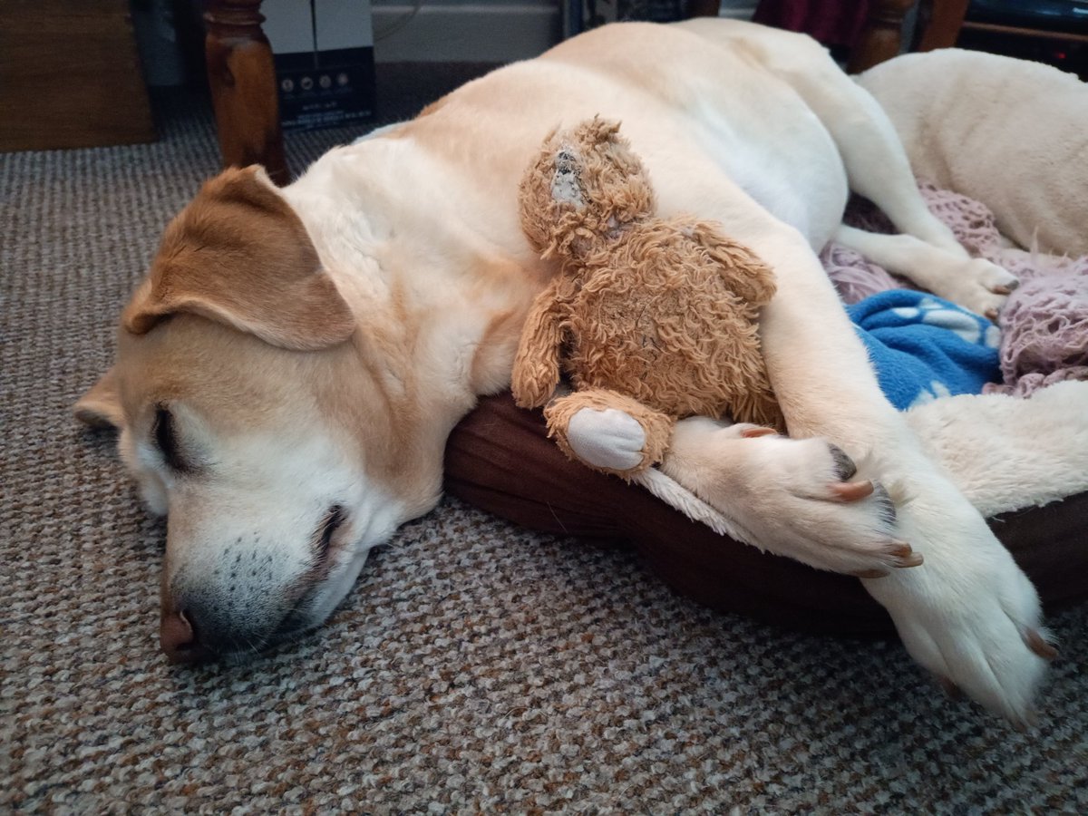 Karl Doyle tweet media