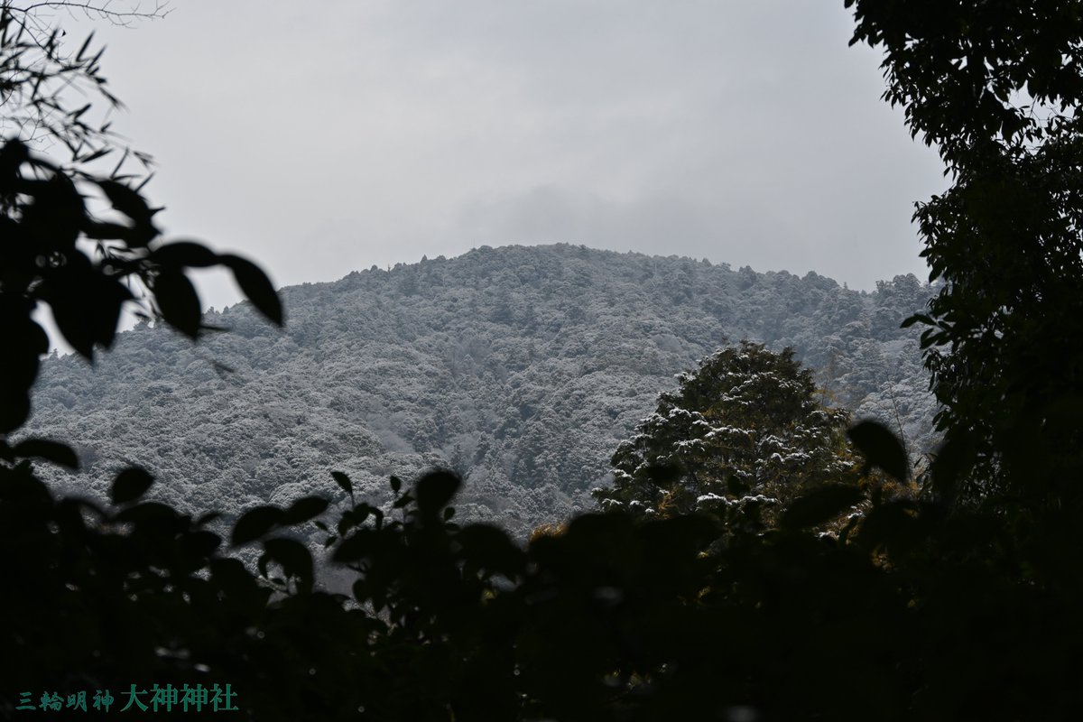 oomiwajinja's tweet image. 【#雪景色 の境内】
境内各所が美しい雪景色になりました。
今朝の境内の様子です。山内の雪は残っていますが、麓の雪はとけ始めています。
#雪 #三輪山 #降雪 #積雪 #雪化粧 #風景 #拝殿 #社殿 #御殿 #境内 #白 #登拝中止 #神山 #大神神社 #三輪さん #三輪明神 #奈良 #大和国一之宮 #神社 #桜井市
