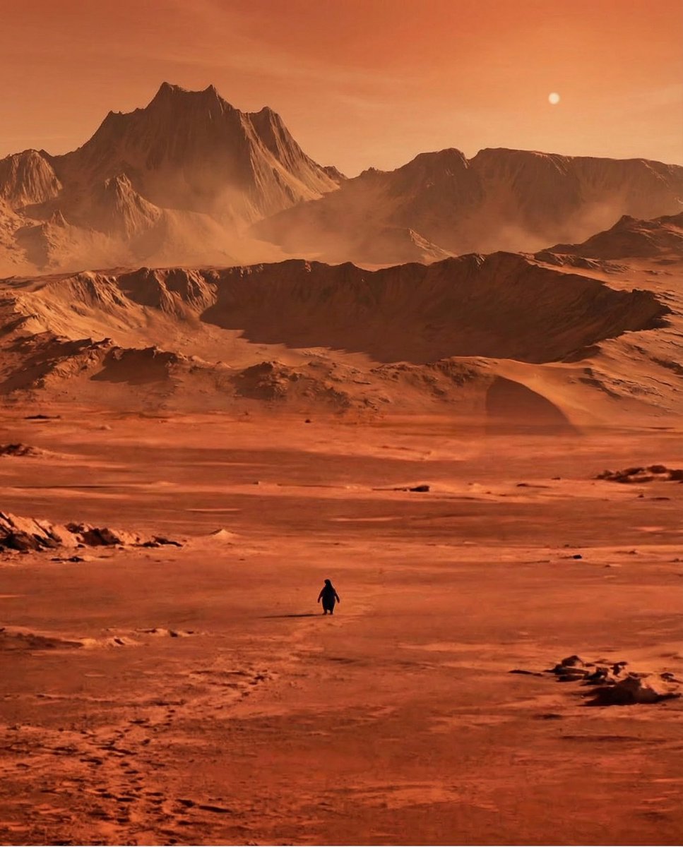 CallenderCrypto's tweet image. Raid Elon with this, this Elon’s penguin walking towards something bigger.