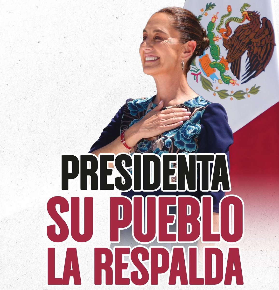 YalaniV's tweet photo. @GARCIPAVON Tenemos mucha presidenta para muy poca basura como ustedes no hacen ni cosquillas 😀👌 https://t.co/vi3fArtmS0