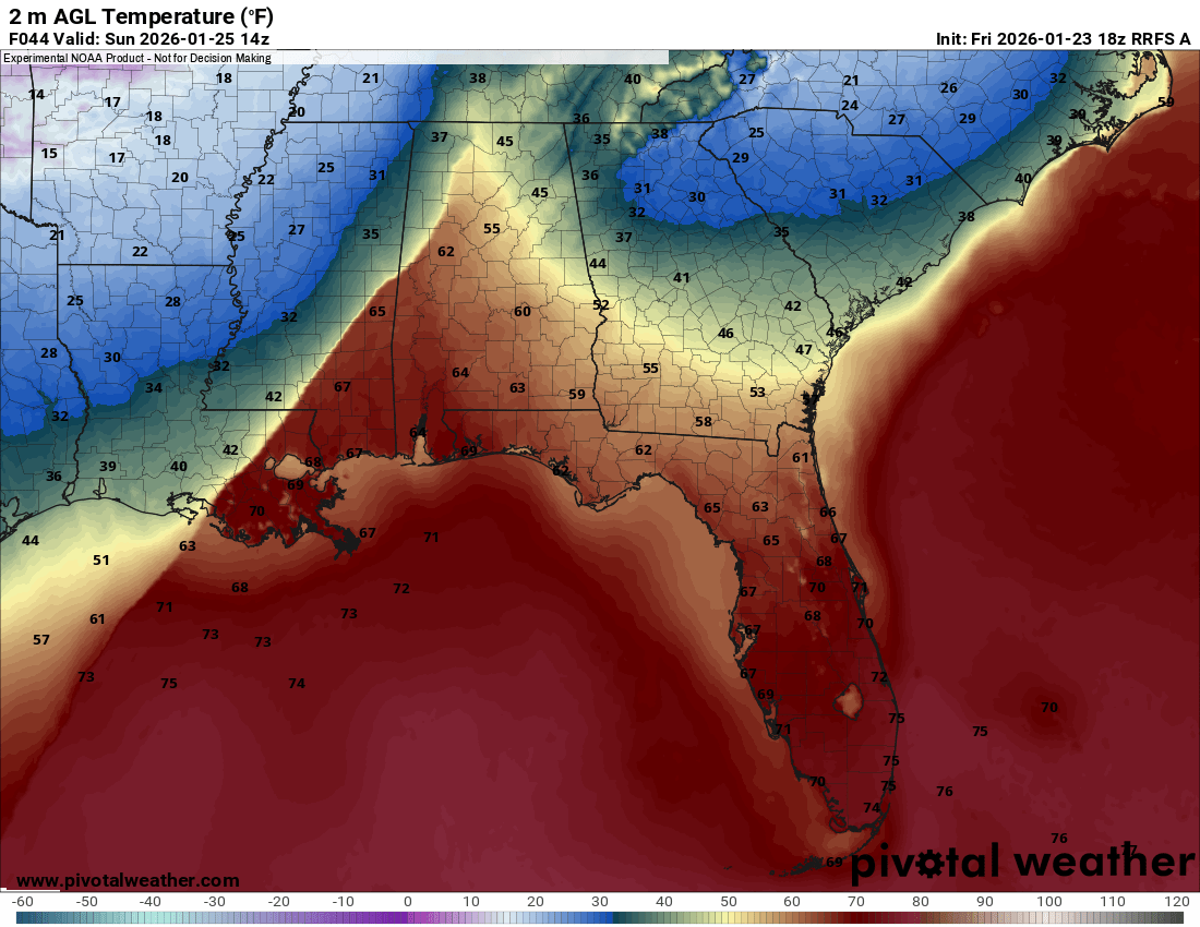 Jake Reed tweet media