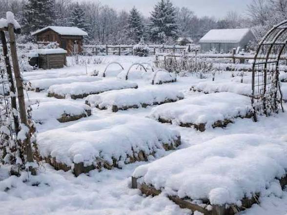 Galinaleigh's tweet image. 🌿 Permaculture Winter Chore List
Permaculture winter chores focus on preparation, not production.
🌱 Great time to order seed and bulbs. Choose varieties that fit your climate, soil, and systems, not trends. Ecological diversity is ecological security.