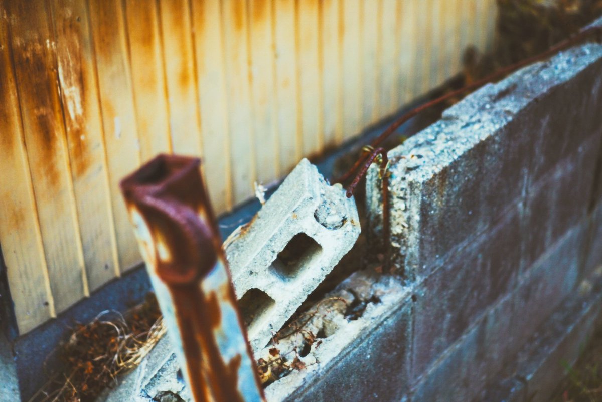 彩川 菜々ฅ'' tweet media