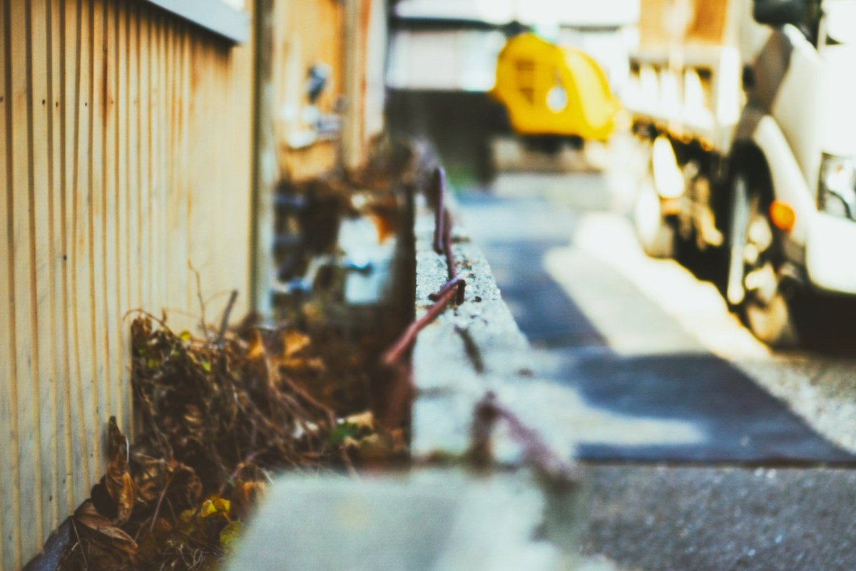 彩川 菜々ฅ'' tweet media