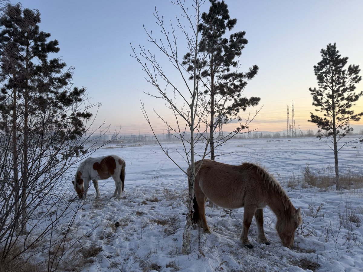 AltantsetsegOr1's tweet image. Өдрийг сайхан өнгөрүүлээрэй!.❤️❤️❤️💖💖💖💝💝💝