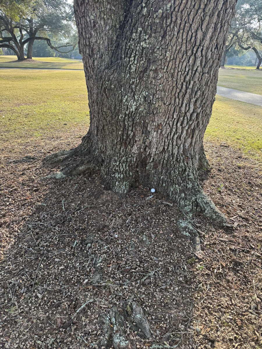 £€€ ₩€₿₿ tweet media