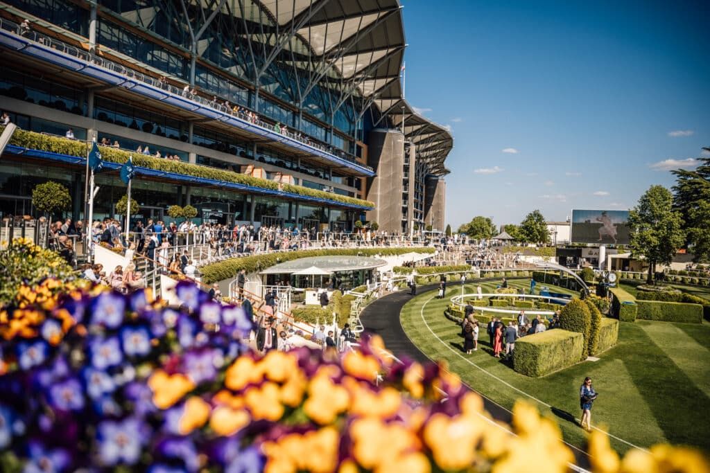 8K Association tweet media