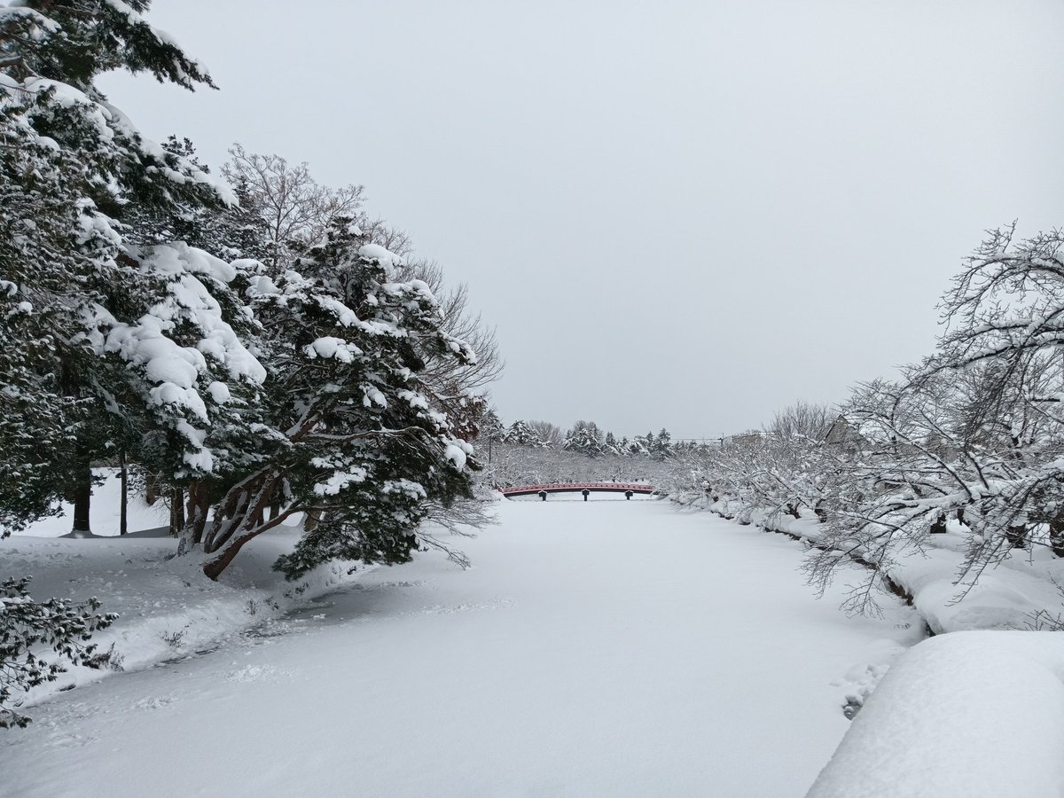 もなです╰(*´︶`*)╯ うわぁ～～めちゃめちゃ降ってますね😲❄⛄️❄⛄️❄⛄️❄✨✨