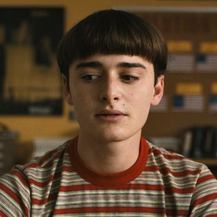 psieiko's tweet image. ♡ o porquê de eu achar que praticamente o elenco todo de Stranger Things gostou/teve um crushzinho no Will Byers, a thread . 🧶

(graus e classificações)