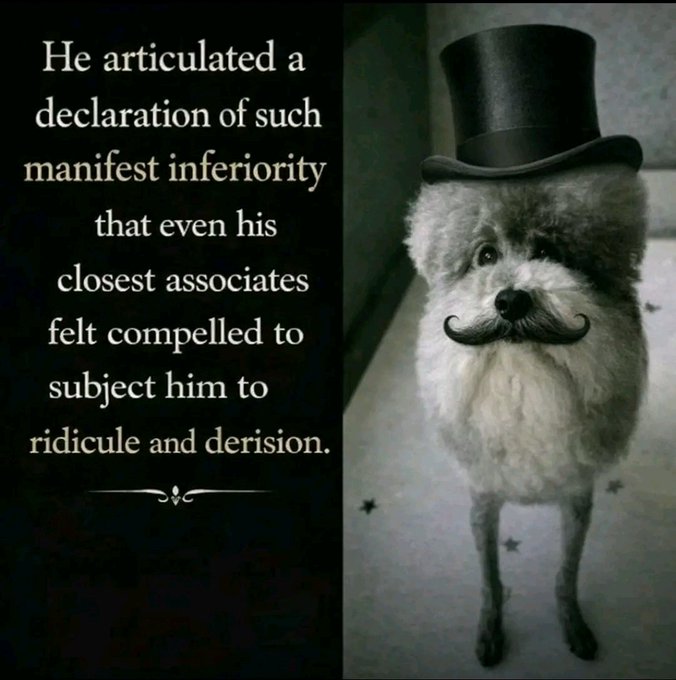 merettully's tweet photo. @einbinderco https://t.co/9iDobYvdhd
