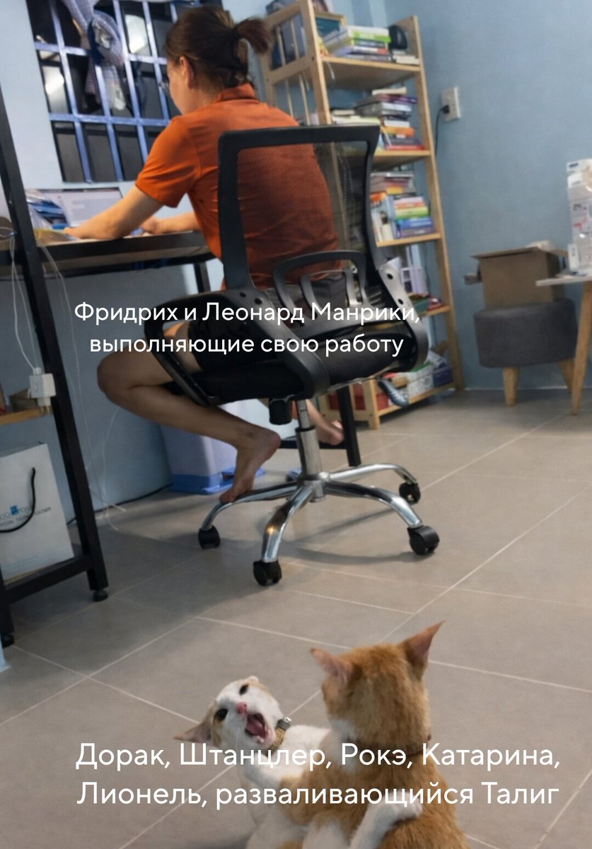 Анастасия в принципе счастлива (@follow_ifyoucan) on Twitter photo 