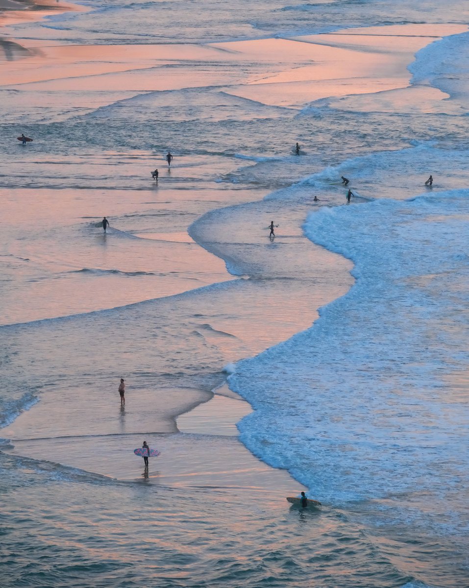 Adobe Lightroom tweet media