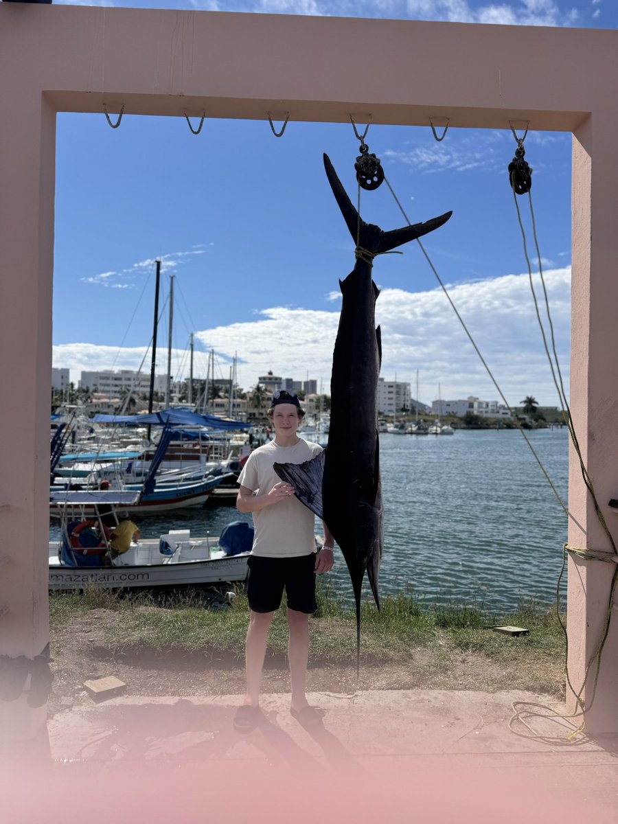 Mark McLean tweet media