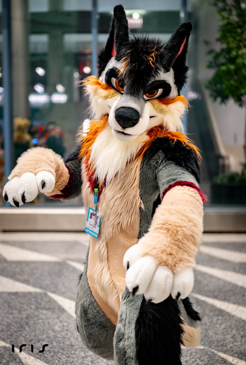 Harvest 🍁🍂 LVFC tweet media