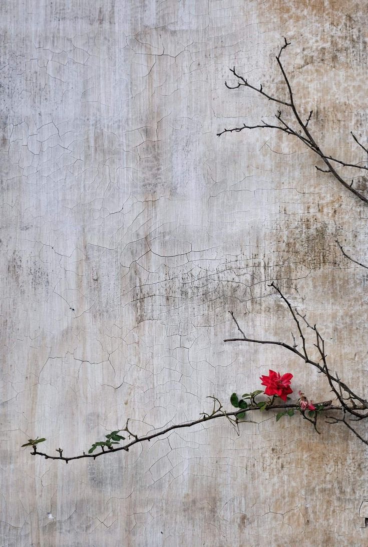 Hüzün sabrın alametidir,
Sabır selametin kefaretidir.
İncinme göğsünde ki yükten,
O yük ki selahın işaretidir…