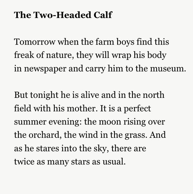 belllmonts's tweet image. i want the creature to read the two-headed calf poem so he can cry and feel his heart ache over "there are twice as many stars as usual"