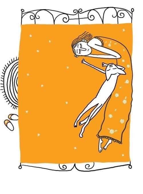 gregcatarino1's tweet image. Bye