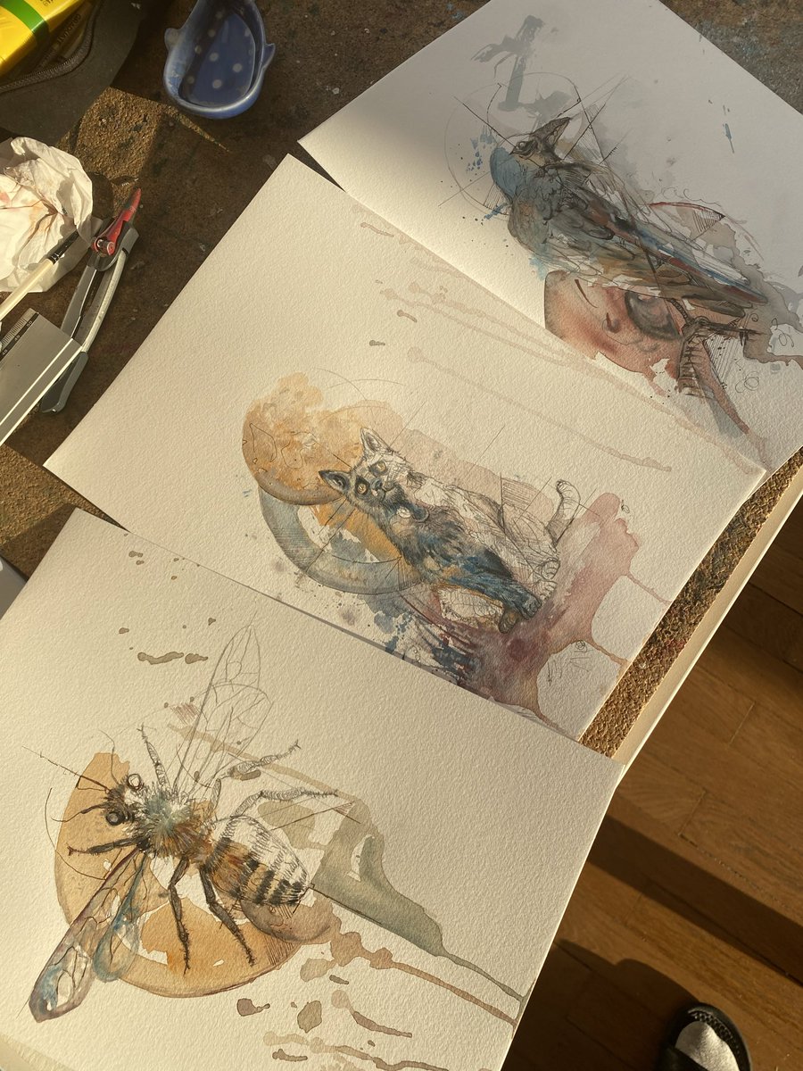 Darkesthone tweet media