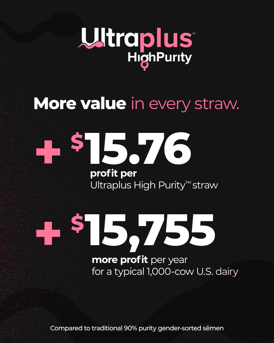 STgenetics's tweet image. Higher purity. Higher returns.

✔️ +$15.76 profit per Ultraplus High Purity™ straw*
✔️ +$15,755 more profit per year for a typical 1,000-cow dairy*

More precision.
More predictability.
More value in every straw.

#UltraplusHighPurity #DecideYourOdds