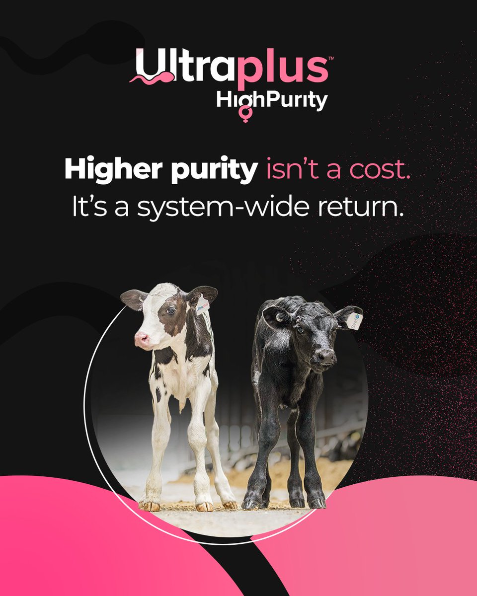 STgenetics's tweet image. Higher purity. Higher returns.

✔️ +$15.76 profit per Ultraplus High Purity™ straw*
✔️ +$15,755 more profit per year for a typical 1,000-cow dairy*

More precision.
More predictability.
More value in every straw.

#UltraplusHighPurity #DecideYourOdds
