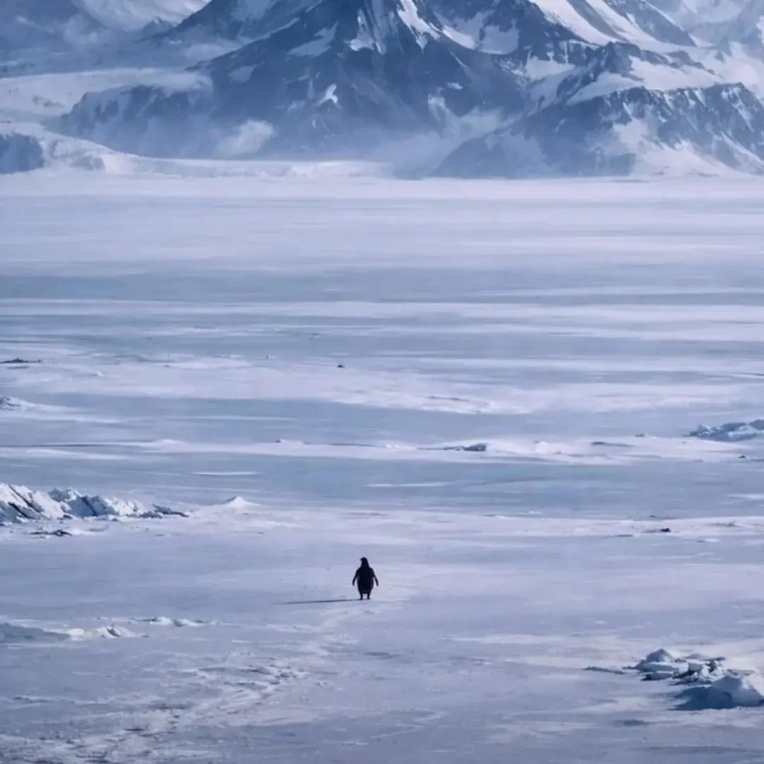 The fate of the bold is to be condemned to face their battles in solitude.