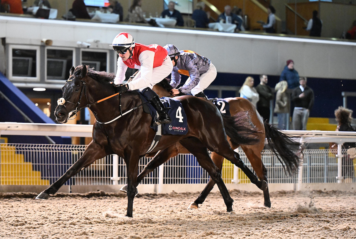 Tattersalls Ireland tweet media
