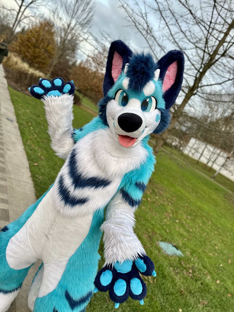 Exi 🔜 CeSFuR, Awoostria tweet media