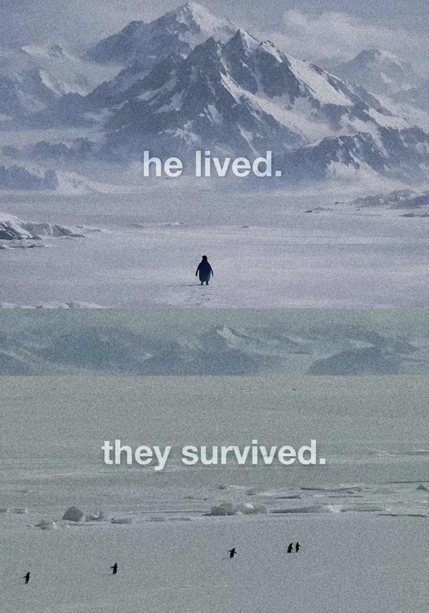 siyah film (@siyahfilm1) on Twitter photo 