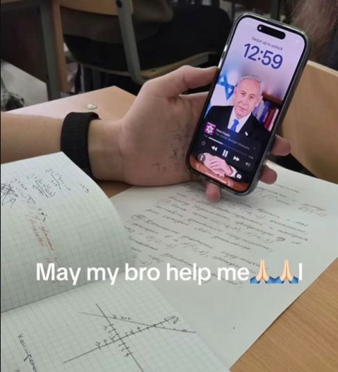 Braindead Bird App tweet media