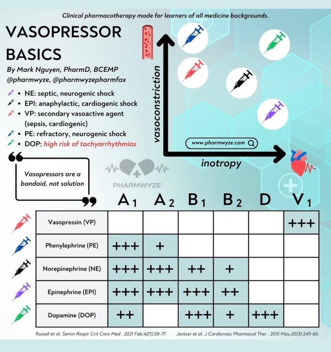 MarlonVFZR's tweet photo. ‼️💉𝗩𝗮𝘀𝗼𝗽𝗿𝗲𝘀𝗼𝗿𝗲𝘀💊‼️
⬇️⬇️⬇️⬇️ 

🧠 𝙄𝙙𝙚𝙖 𝙘𝙡𝙖𝙫𝙚
➡️ ↑tono vascular🩸+ ↑inotropía🫀= ↑ MAP 📈

🥇 𝙉𝙤𝙧𝙖𝙙𝙧𝙚𝙣𝙖𝙡𝙞𝙣𝙖 (𝙉𝙀)
📌 1ª línea en shock séptico ⚡

🔥 𝘼𝙙𝙧𝙚𝙣𝙖𝙡𝙞𝙣𝙖 (𝙀𝙋𝙄)
📌 anafilaxia 🚨 • shock refractario

🧊 𝙁𝙚𝙣𝙞𝙡𝙚𝙛𝙧𝙞𝙣𝙖 (𝙋𝙀)
📌 vasoplejía • taquiarritmias ⚠️

🧬 𝙑𝙖𝙨𝙤𝙥𝙧𝙚𝙨𝙞𝙣𝙖 (𝙑𝙋)
📌 coadyuvante en shock séptico ➕

⚡ 𝘿𝙤𝙥𝙖𝙢𝙞𝙣𝙖 (𝘿𝙊𝙋)
⚠️ alto riesgo de arritmias 💓

🎯 𝙍𝙚𝙜𝙡𝙖 𝙧𝙖́𝙥𝙞𝙙𝙖
👉 más α1 = vasoconstricción 🩸
👉 más β1 = gasto cardíaco ❤️

👇🏼👇🏼👇🏼👇🏼
📚📖#ClubCrit

#Vasopresores #Vasopressors #Vasoactivos #MedTwitter #CritCare #UCI #ICU #CriticalCare #Diagnóstico #icu #intensivecare #diagnosis #management #POCUS  #MedicinaBasadaEnEvidencia #Terapia #MedEd #Medicina #FOAMed #FOAMcc #CuidadoCrítico #MedX #EducaciónMédica #MedIntensiva #MedXCommunity #MedicinaCrítica #MedED #CritCare #ICUManagement #MustRead #LecturaRecomendada