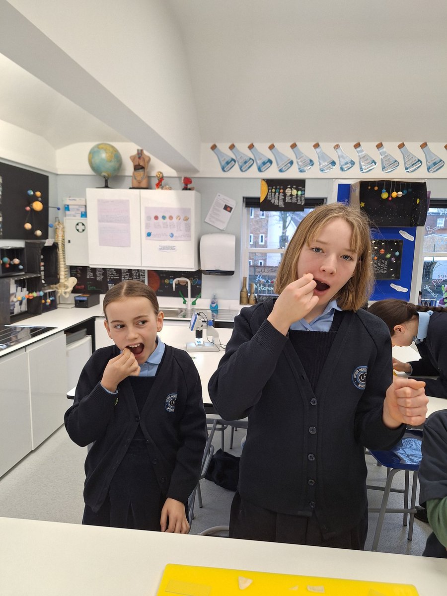 Upton House Science tweet media