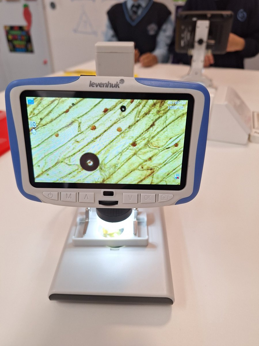 Upton House Science tweet media