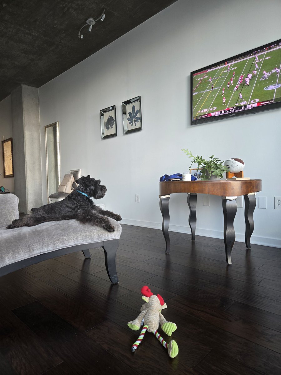 Diane Bloodworth tweet media