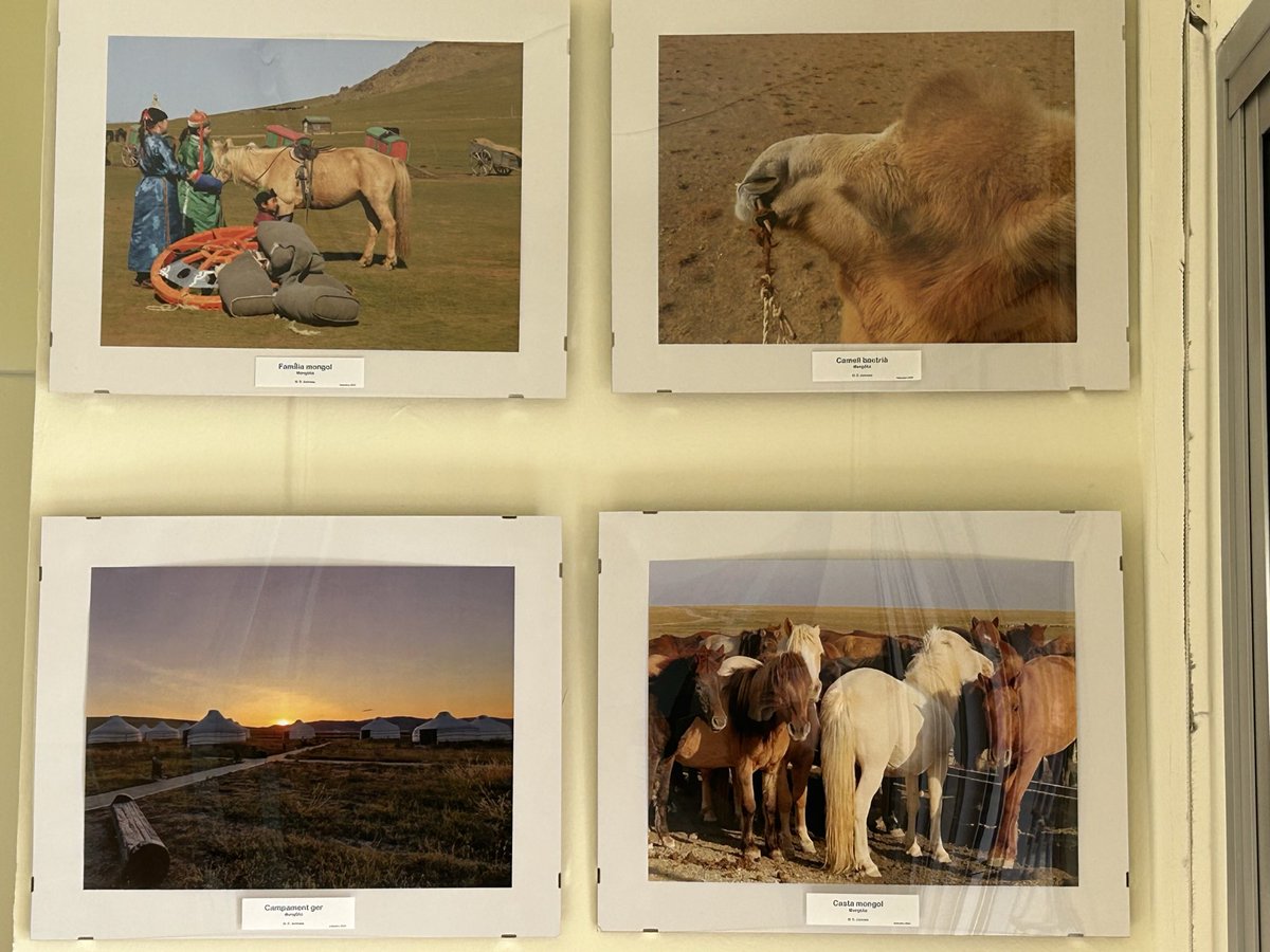 CFA REUS tweet media