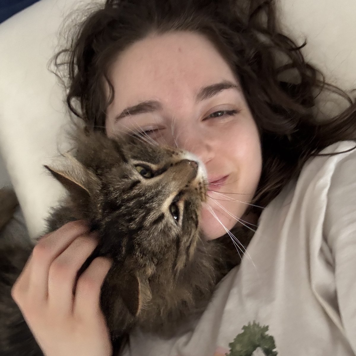 TreeHouseCats's tweet photo. On the fence about fostering? #TeamTreeHouse foster Tali says, "Go for it!" With every experience, she learned more about how she can best help #TreeHouseCats, especially ones with #FeLV like Moonshine and Baby Bear!

Learn more about fostering at https://t.co/aTNyHRWioq https://t.co/yx8eggpBVV