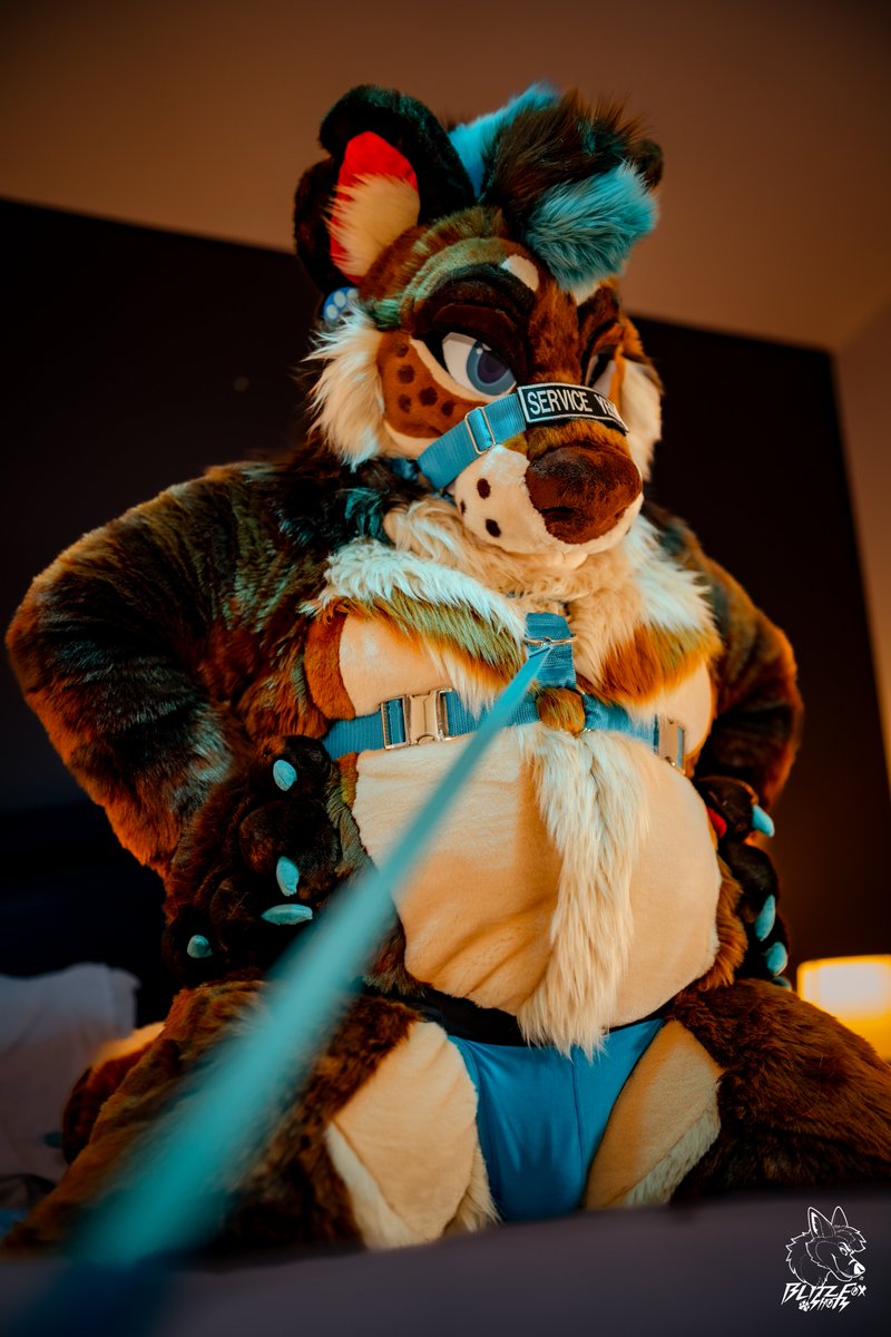 ThatLionThing's tweet image. Tug on my leash again and see what happens.. 
#FursuitFriday