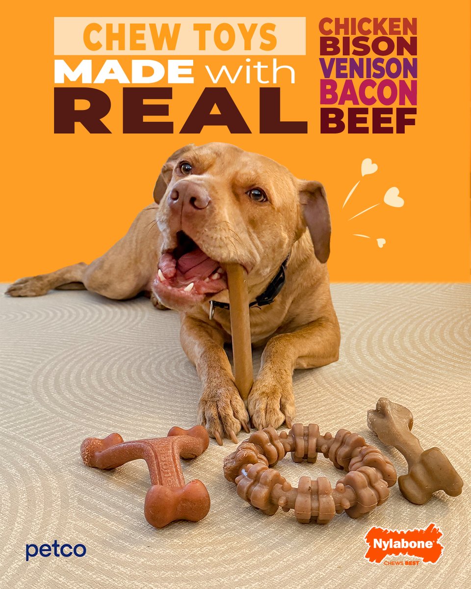 Nylabone Products tweet media