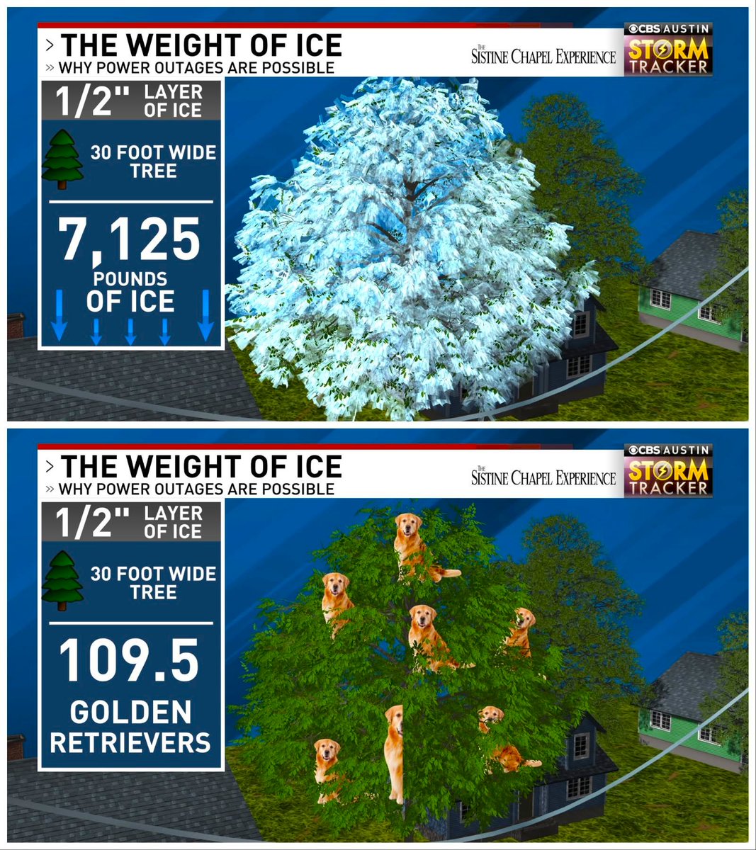 Gustavo Valverde (@GustavoValverde) / Highlights / X